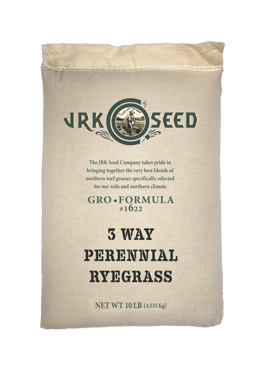 3-Way Perennial Ryegrass