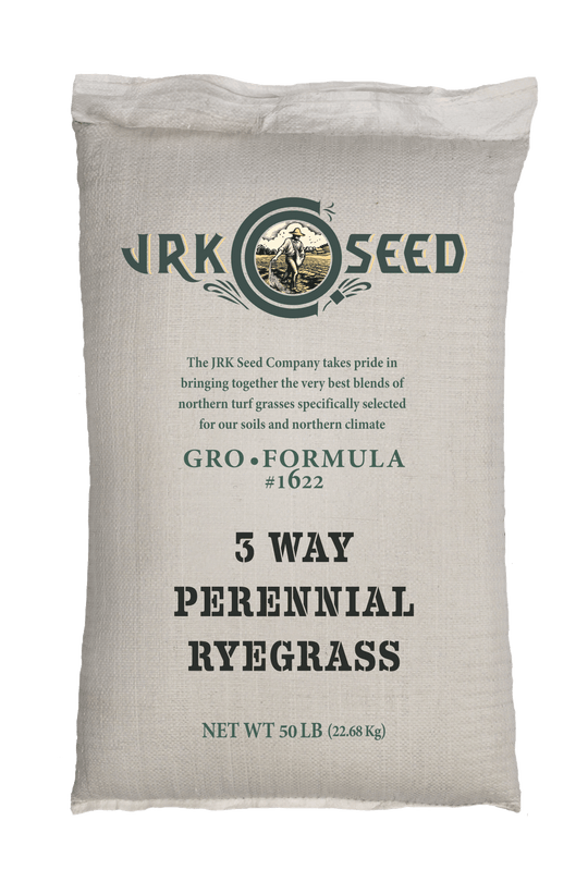 3-Way Perennial Ryegrass