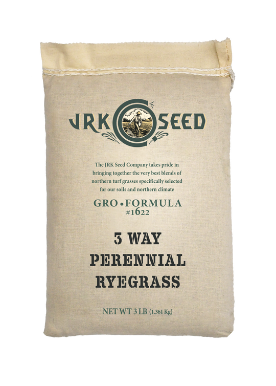 3-Way Perennial Ryegrass
