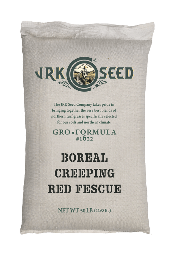 Boreal Creeping Red Fescue