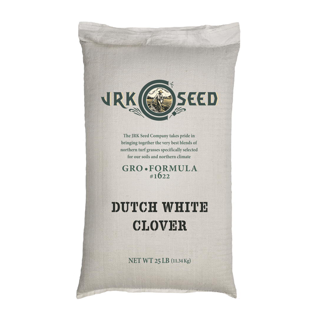 Dutch White Clover