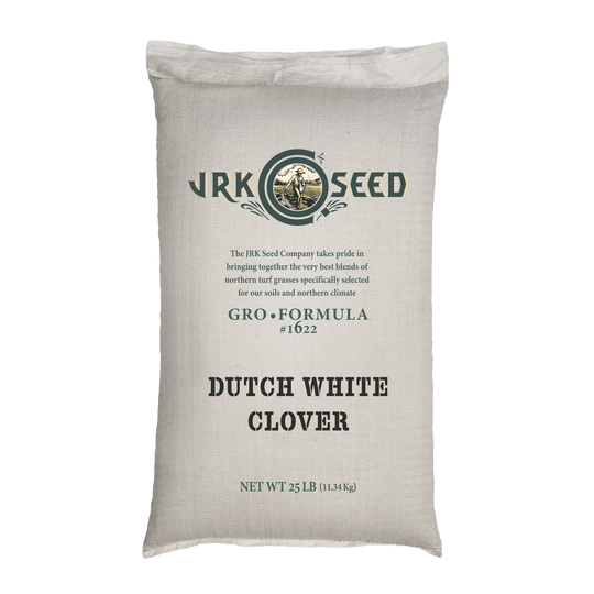 Dutch White Clover