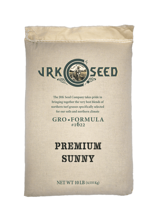 Premium Sunny with Tazo