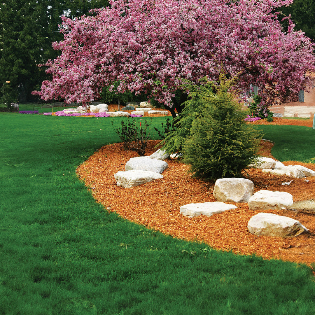 Premium Sun & Shade Mix with Tazo