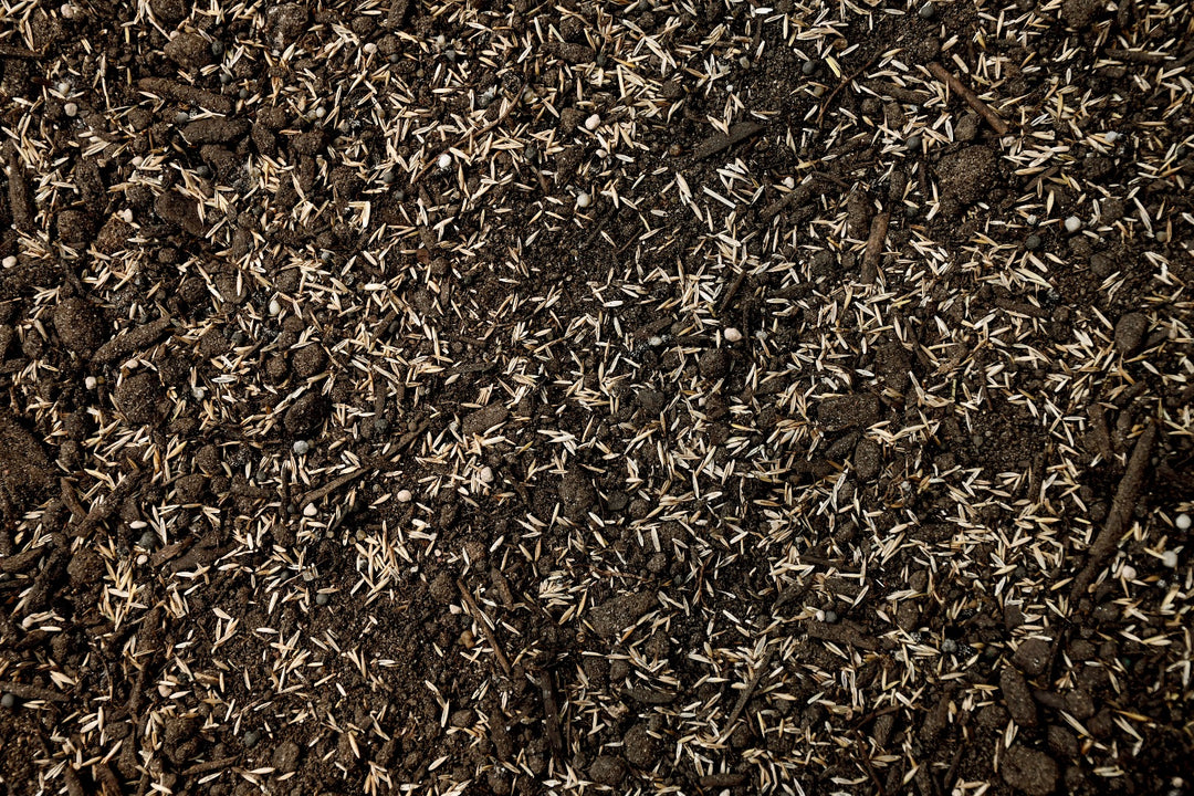 Premium Dense Shade Mix with Tazo