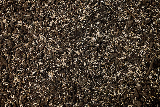 Premium Dense Shade Mix with Tazo