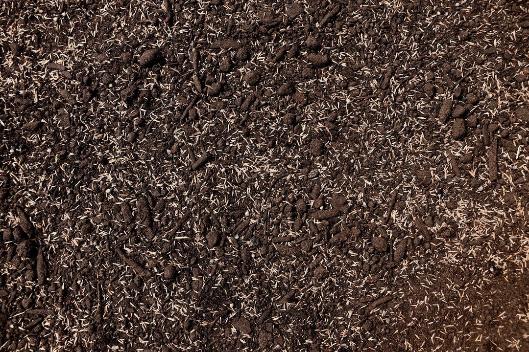 Premium Medium Shade Mix