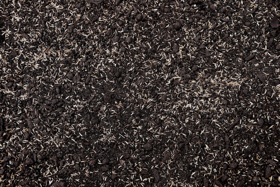 Premium Sun & Shade Mix with Tazo