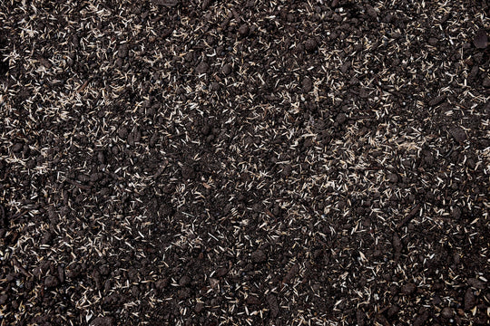 Premium Sun & Shade Mix with Tazo