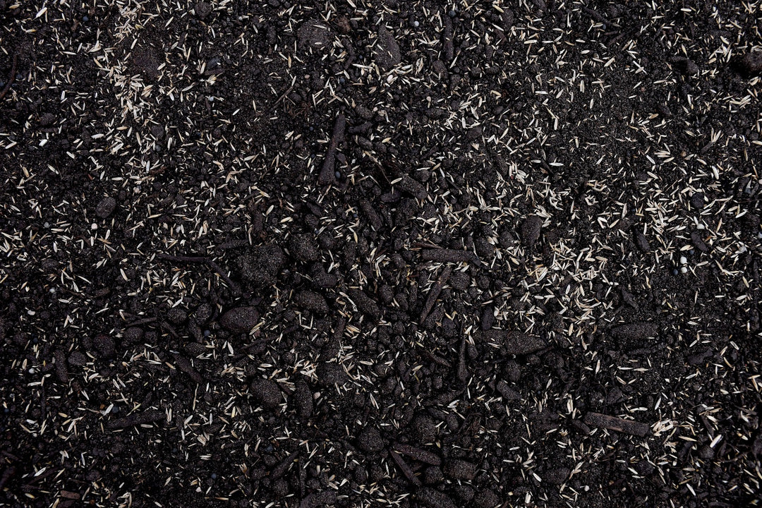 Sandy Soil Mix