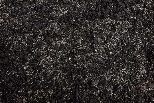 Premium Sod Overseeder Mix with Tazo