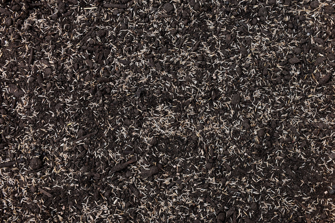 Super Salt Tolerant Mix with Tazo