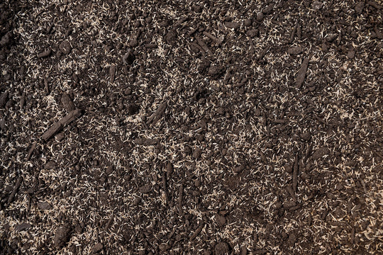 Ultra Dense Shade Mix with Tazo