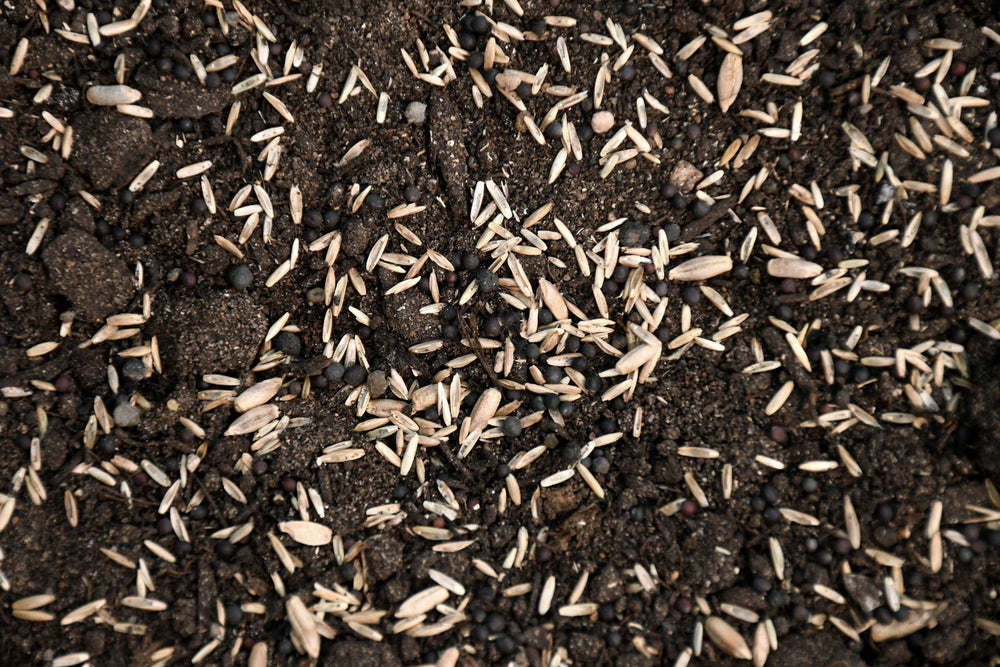 Annual Deer Plot Mix