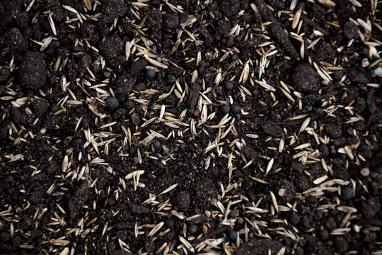 Country Lawn Mix