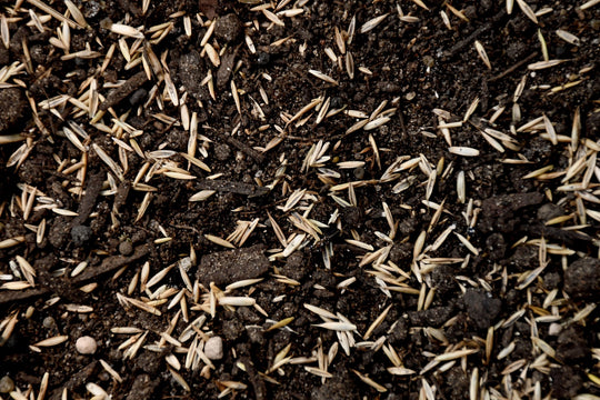 Premium Dense Shade Mix with Tazo
