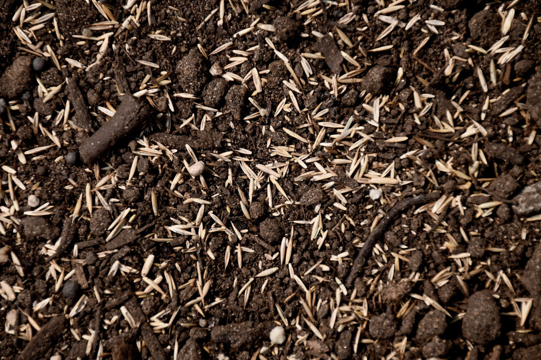 Premium Medium Shade Mix