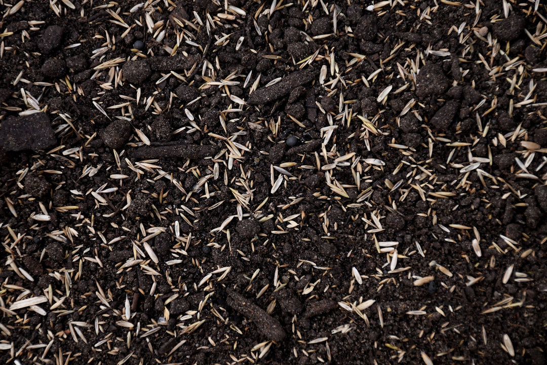 Sandy Soil Mix