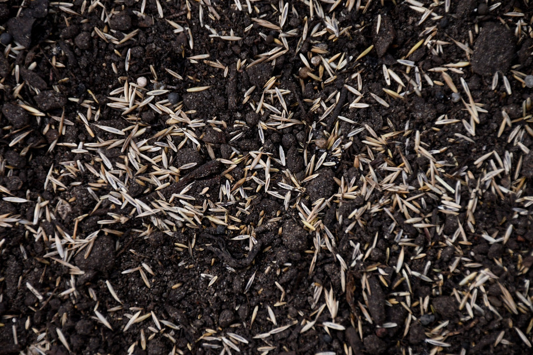 Super Salt Tolerant Mix with Tazo