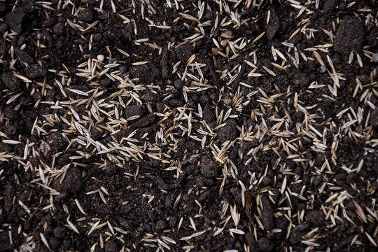Super Salt Tolerant Mix with Tazo