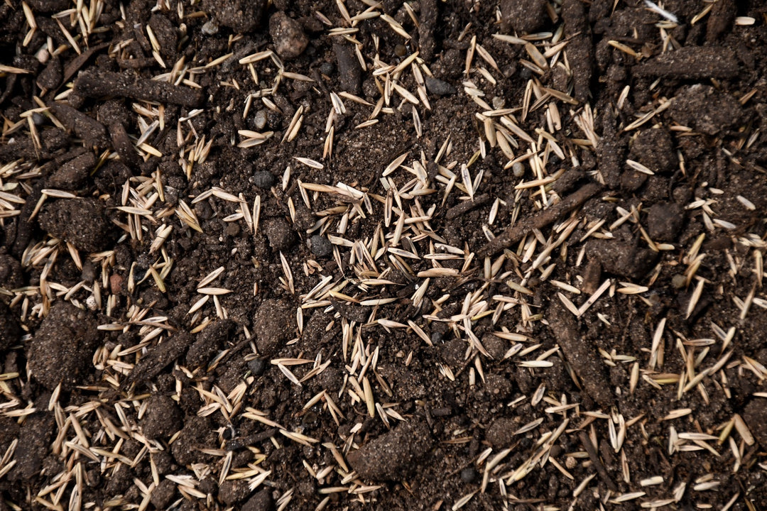 Ultra Dense Shade Mix with Tazo